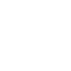 PDF Icon