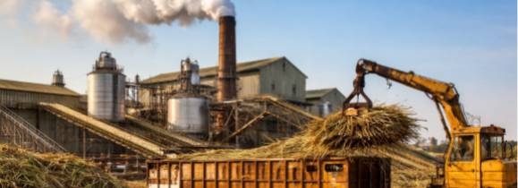 Sugar Industry